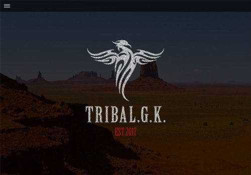 合同会社 TRIBAL